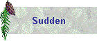 Sudden