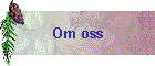 Om oss