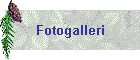 Fotogalleri